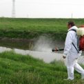 Dezinsectie in trei etape intr o comuna din Cluj Mai multe localitati vor fi tratate pe rand Ce trebuie sa faca cetatenii in aceste nopti