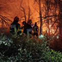 Fratii nostri din Romania Grecii isi exprima recunostinta fata de pompierii romani care au mers sa lupte cu incendiile de vegetaie