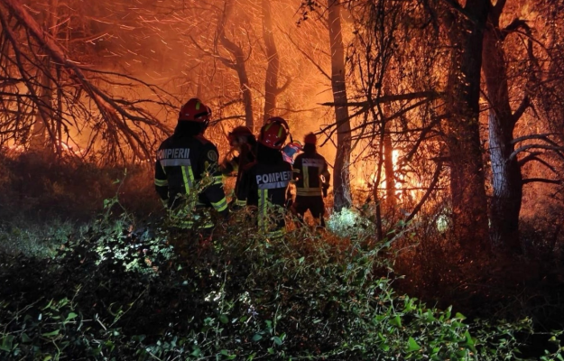 Fratii nostri din Romania Grecii isi exprima recunostinta fata de pompierii romani care au mers sa lupte cu incendiile de vegetaie