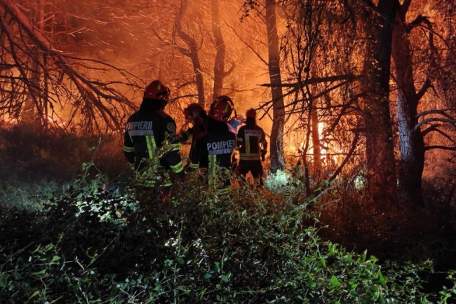 Fratii nostri din Romania Grecii isi exprima recunostinta fata de pompierii romani care au mers sa lupte cu incendiile de vegetaie
