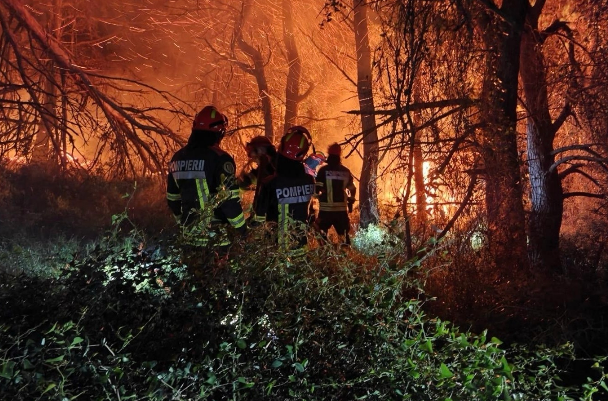 Fratii nostri din Romania Grecii isi exprima recunostinta fata de pompierii romani care au mers sa lupte cu incendiile de vegetaie