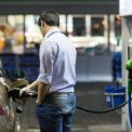 Ingrijorare la pompa din 1 iulie motorina a crescut cu aproape 36 de bani pe litru dupa ce Guvernul a decis sa nu mai reduca acciza