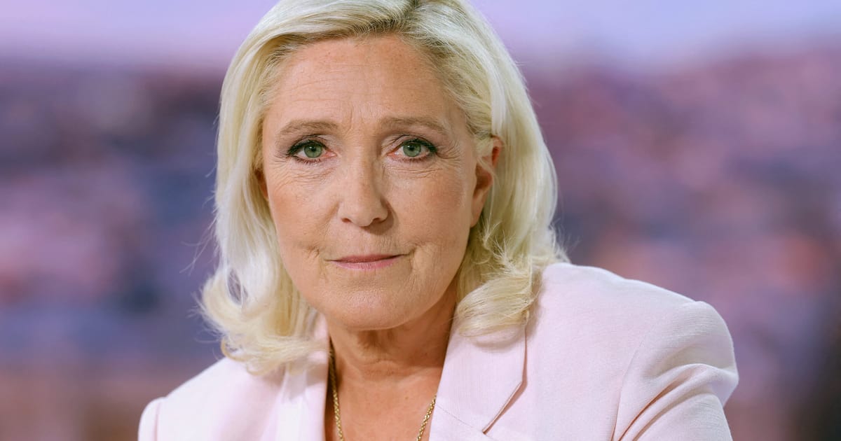 Le Pen va candida la presedinte in ciuda condamnarii pentru frauda financiara