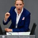 Mii de protestatari in Germania se aduna impotriva extremei drepte AfD