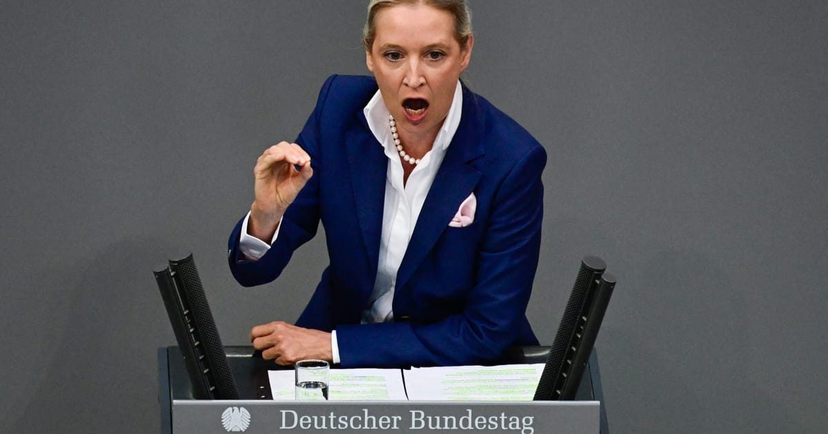 Mii de protestatari in Germania se aduna impotriva extremei drepte AfD