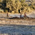 Pompierii din Cluj in prima linie a luptei impotriva incendiilor devastatoare din Franta Misiunea continua fara abatere