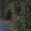 Probleme raportate pe o strada din Cluj Napoca Vegetatia a acoperit trotuarul iar cetatenii cer interventia autoritilor