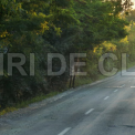 Raspunsul Primariei Cluj Napoca despre strada Soporului Cat timp va continua santierul care a paralizat traficul si i a enervat pe clujeni