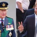 Regele Charles l a primit pe Prinul Harry i familia sa pentru prima dat dupa muli ani iar reuniunea de familie a avut loc la o proprietate n mediul rural