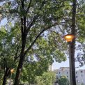 Revolta in cartierul Manastur dupa ce un clujean a observat stalpii de iluminat aprinsi la ora 11 30 Iata pe ce se cheltuie banii contribuabililor
