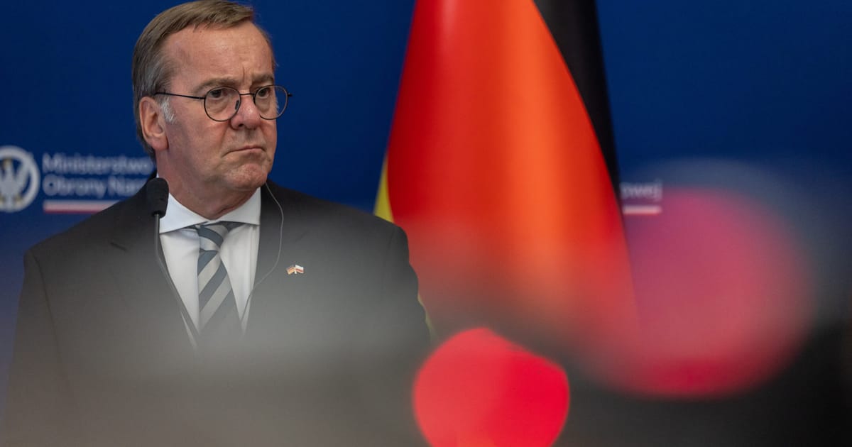 Seful apararii germane se impotriveste colaborarii in domeniul informatilor cu AfD