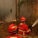 UE trimite avioane si sute de pompieri pentru a lupta impotriva incendiilor devastatoare din Portugalia si Franta