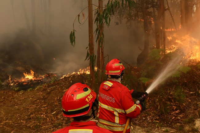 UE trimite avioane si sute de pompieri pentru a lupta impotriva incendiilor devastatoare din Portugalia si Franta