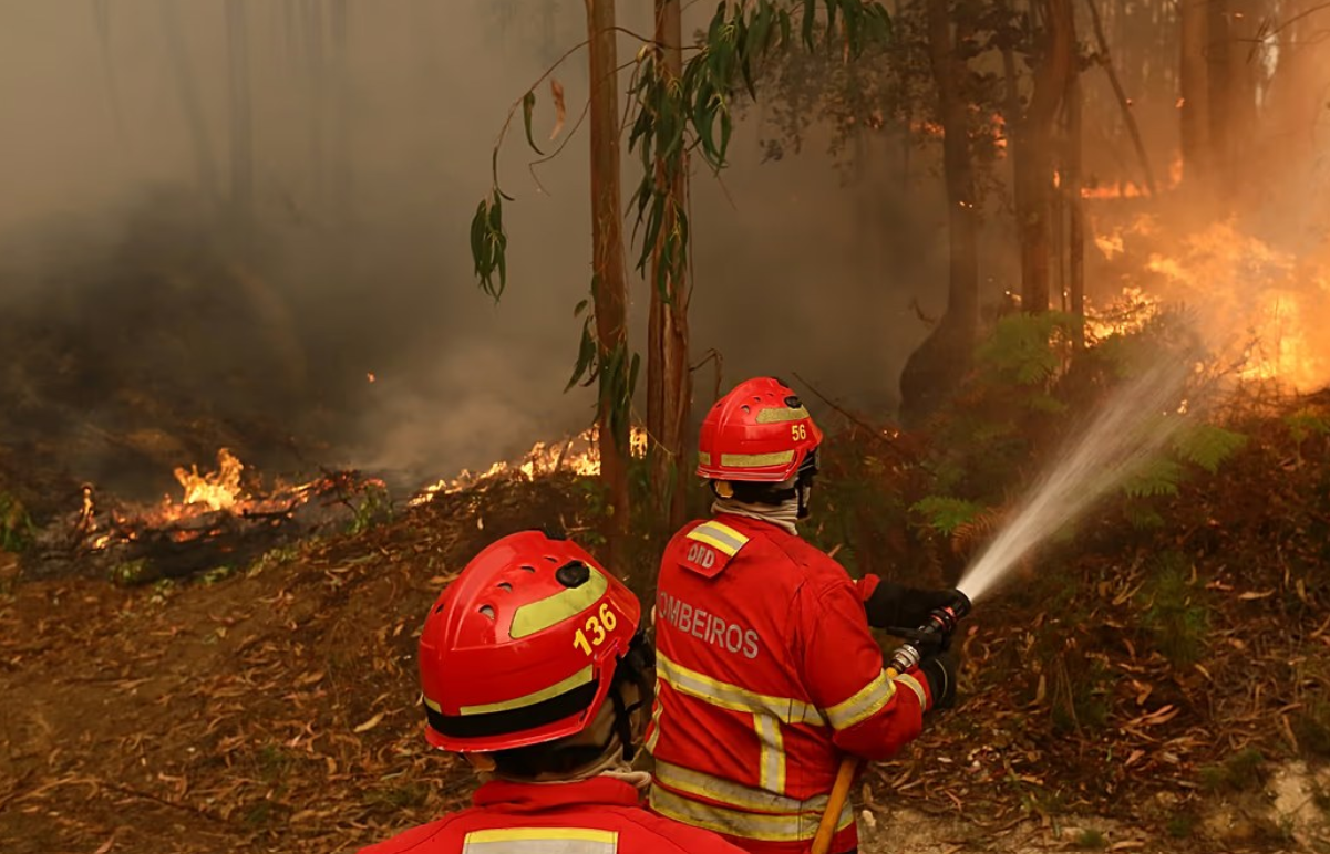 UE trimite avioane si sute de pompieri pentru a lupta impotriva incendiilor devastatoare din Portugalia si Franta