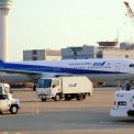 Un pilot din Japonia a primit o pedeapsa de 20 de luni de inchisoare pentru agresarea unei stewardese