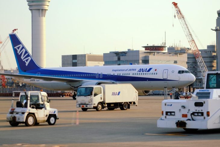 Un pilot din Japonia a primit o pedeapsa de 20 de luni de inchisoare pentru agresarea unei stewardese