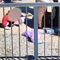 VIDEO Imagini emotionante O familie din Cluj impreuna cu copiii colinda din poarta in poarta in cautare de materiale reciclabile O realitate care nu ar trebui sa existe
