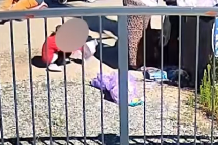 VIDEO. Imagini emoționante: O familie din Cluj, împreună cu copiii, colindă din poartă în poartă în căutare de materiale reciclabile. O realitate care nu ar trebui să existe.