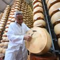 Valurile de caldura pun in pericol renumitul parmezan italian Schimbarile climatice afecteaza productia de lapte