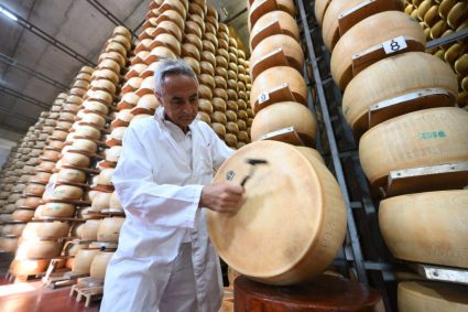 Valurile de căldură pun în pericol renumitul parmezan italian. Schimbările climatice afectează producția de lapte.