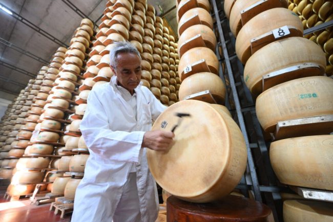 Valurile de caldura pun in pericol renumitul parmezan italian Schimbarile climatice afecteaza productia de lapte