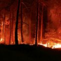 canicula agraveaza incendiul de langa paris franta lanseaza o interventie pentru prima data