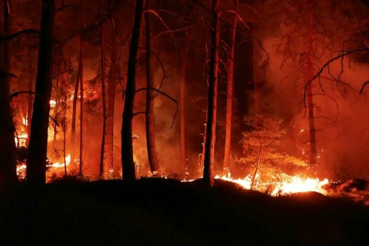 canicula agraveaza incendiul de langa paris franta lanseaza o interventie pentru prima data