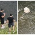video cruzime fara motiv la cluj doi tineri au fost filmati aruncand cu pietre dupa ratuste au lovit una si nu a mai putut inota probabil a murit