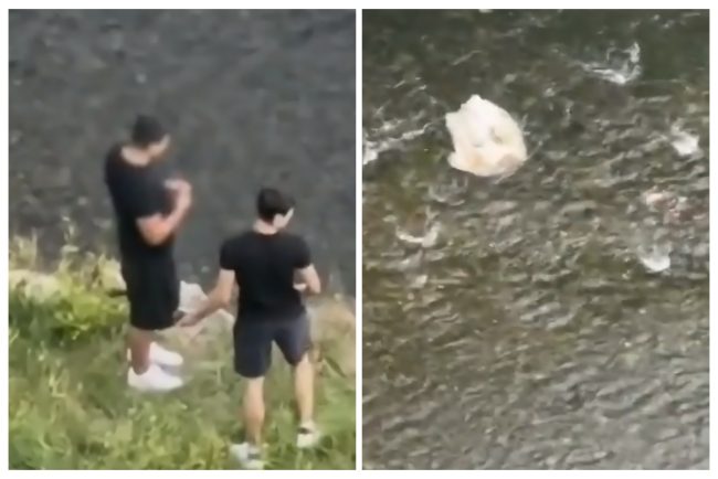 video cruzime fara motiv la cluj doi tineri au fost filmati aruncand cu pietre dupa ratuste au lovit una si nu a mai putut inota probabil a murit