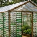 2 000 de sticle de plastic au fost transformate intr o sera Proiectul inedit al unei scoli