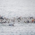Am venit sa facem progrese nu sa fim pacaliti Migrantii ajunsi in Ceuta explica de ce au decis sa se intorca in Maroc