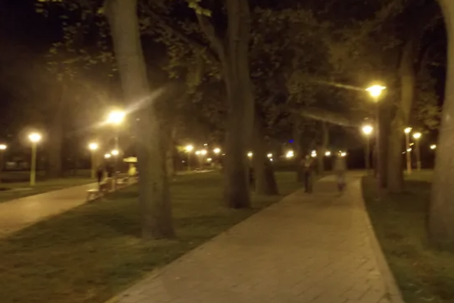 Cosmarul de pe strada Dunariei din Cluj Napoca parc plin de cioburi banci acoperite cu ulei si tineri care consuma alcool si tipar in fiecare seara Vecinii cer interventia politiei