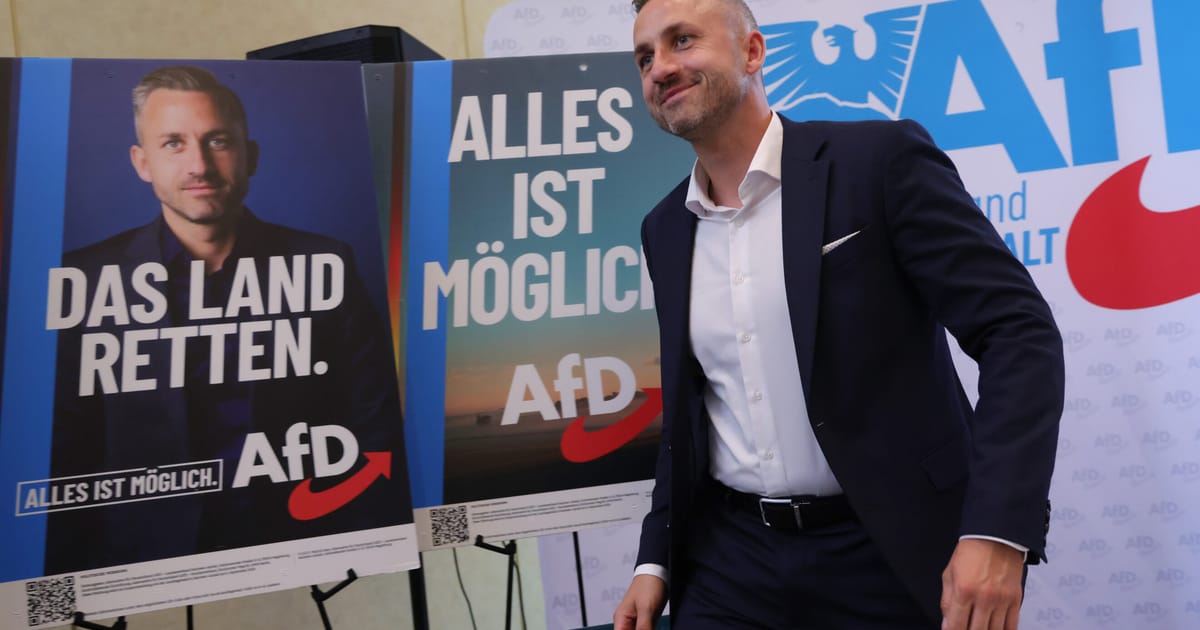 Establishmentul din Germania are un plan pentru a controla extrema dreapta Aproape