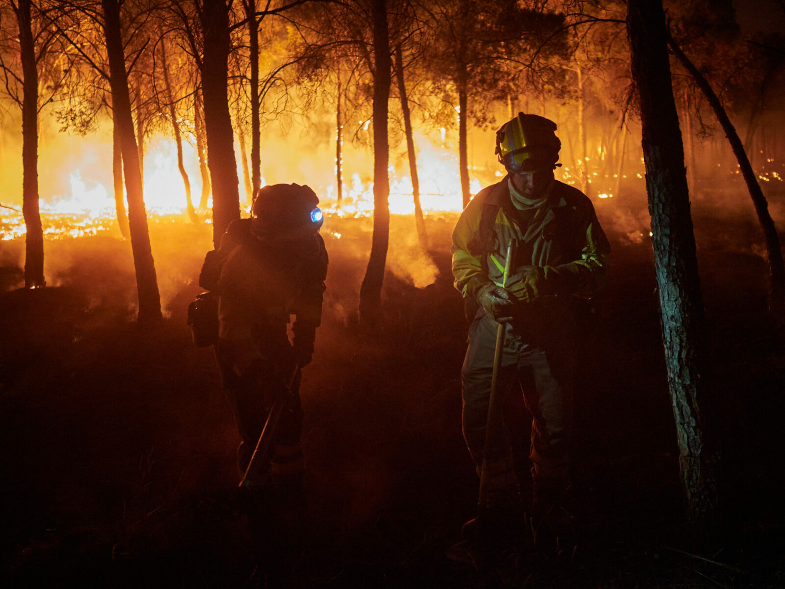 Europa in fata unui nou pericol incendiile forestiere ar putea creste cu 39 pana la sfarsitul secolului chiar si in cel mai optimist scenariu climatic
