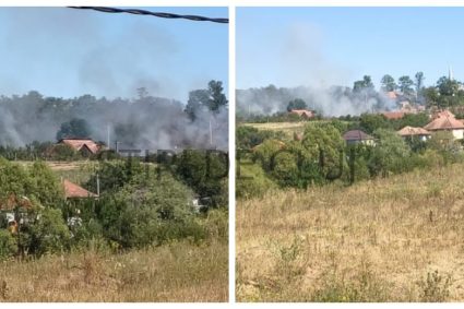 INCENDIU ÎN CLUJ! Vegetația uscată a fost cuprinsă de flăcări în Mihăiești, amenințând o anexă. Pompierii intervin de urgență.