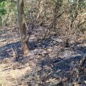 Incendiul subteran care nu se stinge Autoritatile din Arad elaboreaza o solutie inedita