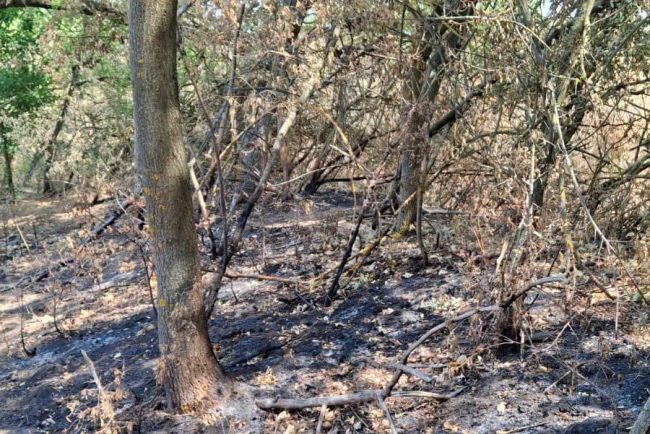 Incendiul subteran care nu se stinge Autoritatile din Arad elaboreaza o solutie inedita