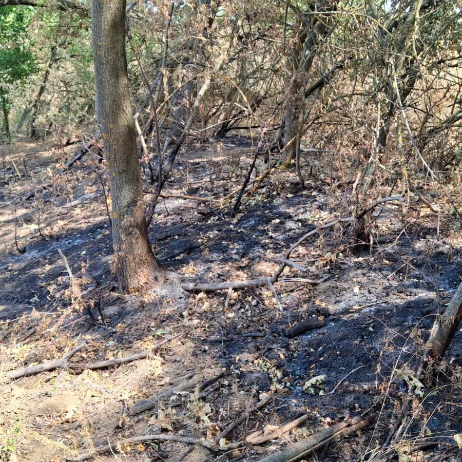 Incendiul subteran care nu se stinge Autoritatile din Arad elaboreaza o solutie inedita