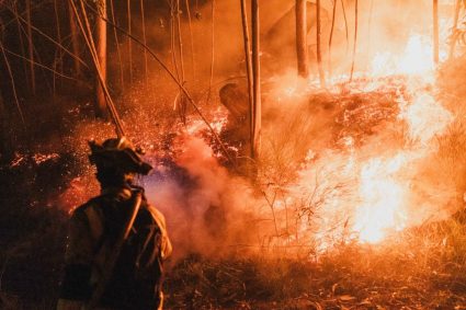 MAE, avertizare de călătorie în Spania: Cod Roșu pentru incendii de vegetație în Valencia