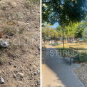 Nemultumiri repetate legatede un parc model din Cluj Napoca Cum s a schimbat parcul in 3 ani O investitie considerabila se deteriorizeaza
