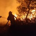 Pompierii romani au luptat impotriva incendiilor din Grecia pe parcursul intregii nopti Au salvat animale si au protejat localitatile amenihtate de flacari
