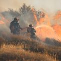Primarul unui oras din apropierea Atenei a fost arestat pentru responsabilitatea in incendiile devastatoare de padure