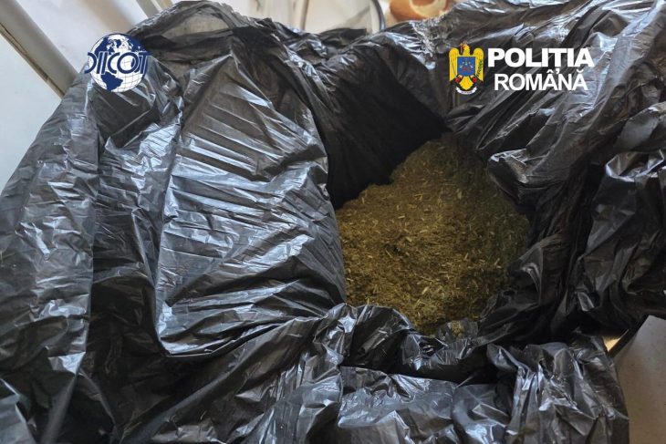Retea de trafic de droguri coordonata din inchisoare desfiintata Sase persoane retinute