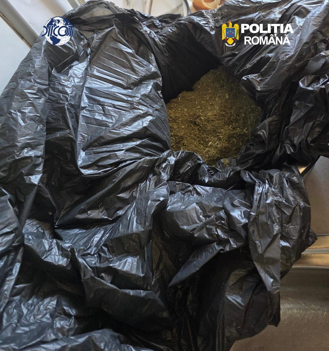 Retea de trafic de droguri coordonata din inchisoare desfiintata Sase persoane retinute