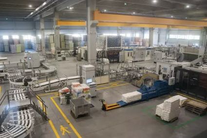 România a depășit ținta din PNRR privind reciclarea: 12 fabrici terminate în loc de 9. Ce tipuri de deșeuri vor procesa și câte sute de milioane de lei au costat proiectele.