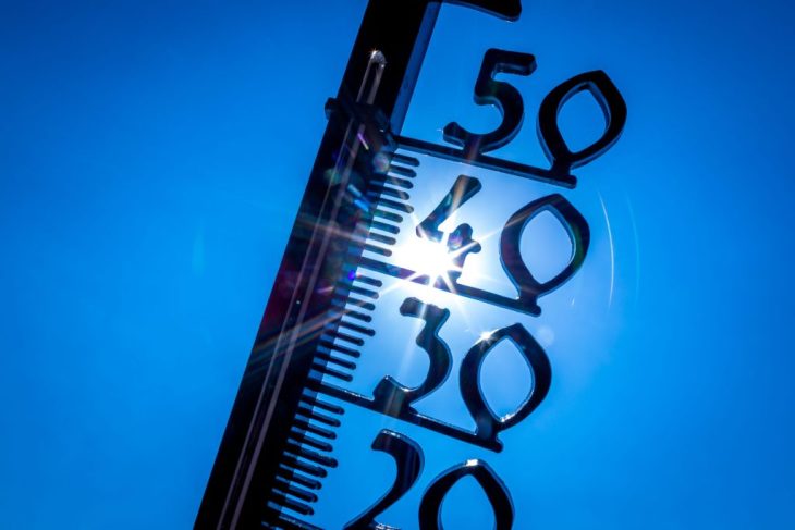 Temperaturile din Coreea de Sud stabilesc un nou record Guvernul ia masuri