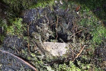 Tuneluri sub granița UE: 28 de migranți au intrat din Belarus în Letonia printr-un pasaj ascuns în vegetație.