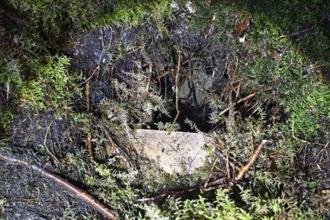Tuneluri sub granita UE 28 de migranti au intrat din Belarus in Letonis printr un pasaj ascuns in vegetatie