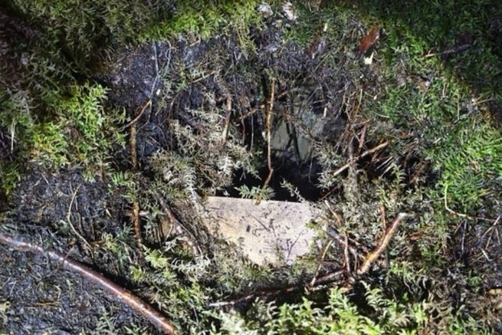 Tuneluri sub granita UE 28 de migranti au intrat din Belarus in Letonis printr un pasaj ascuns in vegetatie