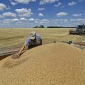 Ucraina isi cauta rute alternative pentru exportul cerealelor din cauza blocarii porturilor de catre Rusia